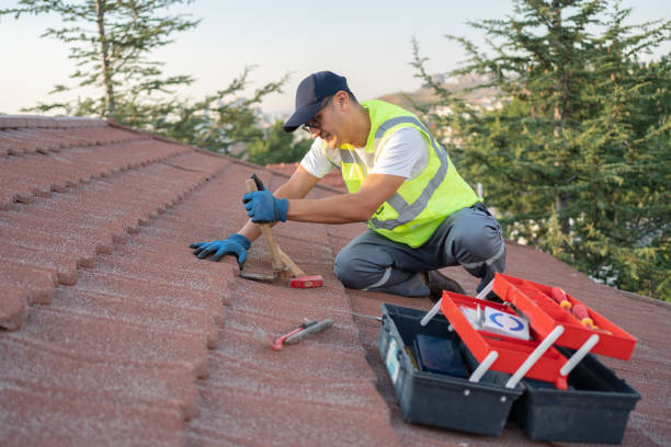 Best Metal Roofing Contractor  in Moriarty, NM